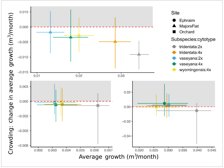 Intraspecific Variation Mediates Density Dependence In A Genetically ...